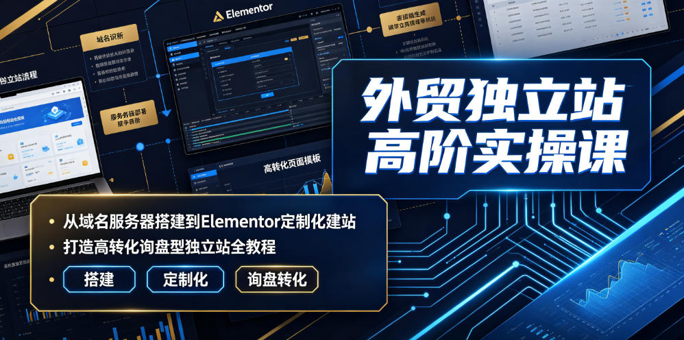 外贸独立站高阶实操课｜从域名服务器搭建到Elementor定制化建站，打造高转化询盘型独立站全教程-hl998