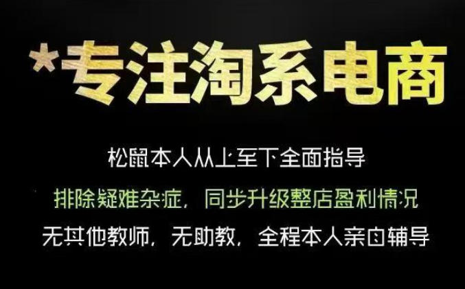 松鼠会电商VIP课程，从基础布局到高阶优化，助你掌握淘宝运营逻辑，提升店铺流量与转化(更新0711)-hl998