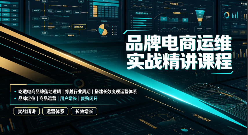 品牌电商运维实战精讲课程｜吃透电商品牌落地逻辑、穿越行业周期、搭建长效变现运营体系-hl998